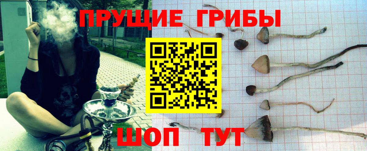 дарнет шоп  Галлюциногенные грибы Cubensis  Вход с VPN  Нурлат 